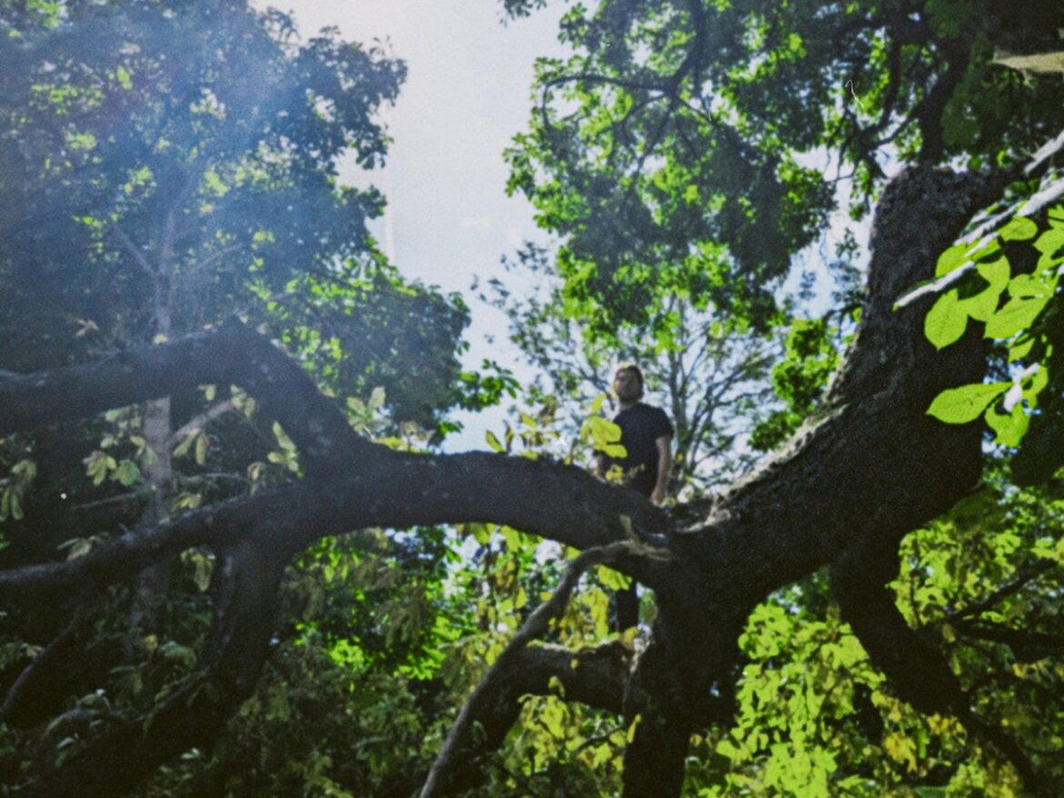 北欧の森が育んだ「静寂と昂揚」の記念碑――12弦ギターの調べと幻想的な音響が、聴き手を未知の深淵へと誘うBladverkの1stアルバム