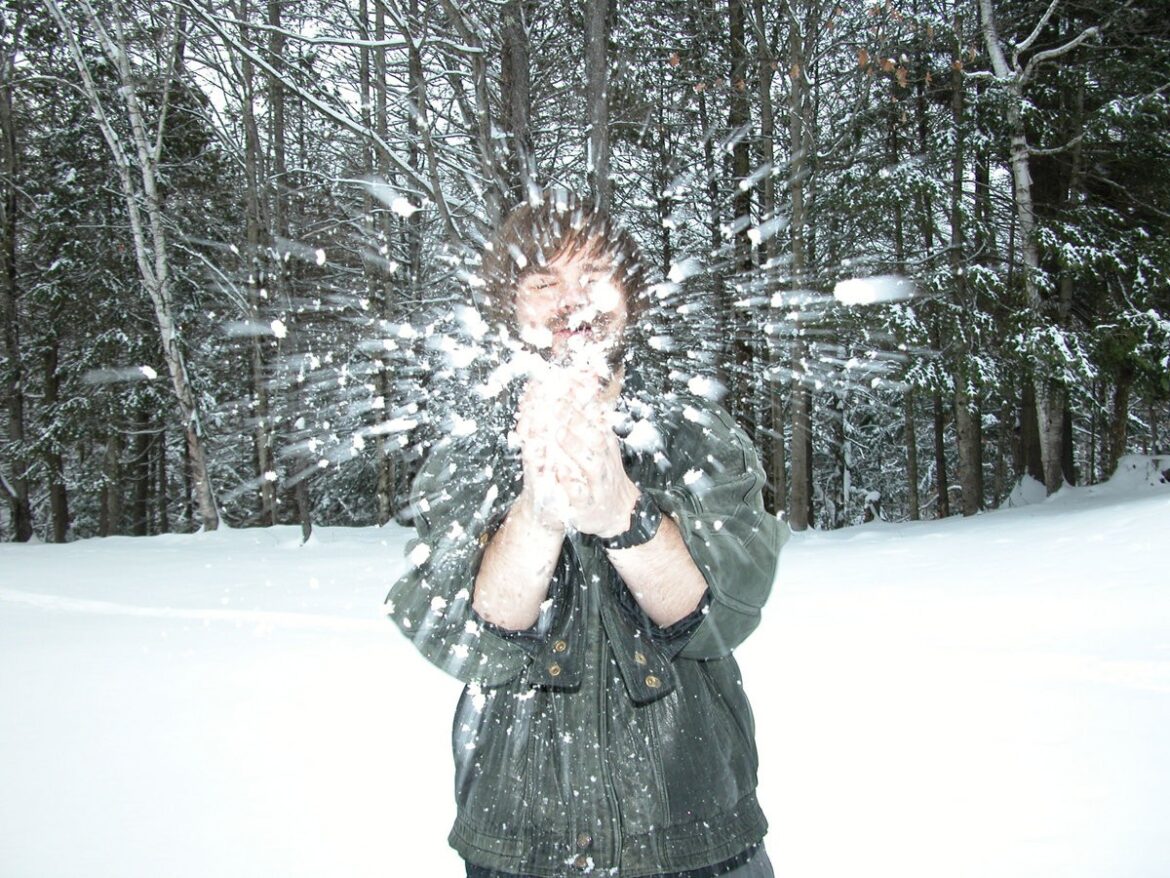 インディー・シーンの交差点。This Is Loreleiの傑作をHayley Williams、WaxahatcheeやJeff Tweedyらが祝福する、究極のカバー・コレクション